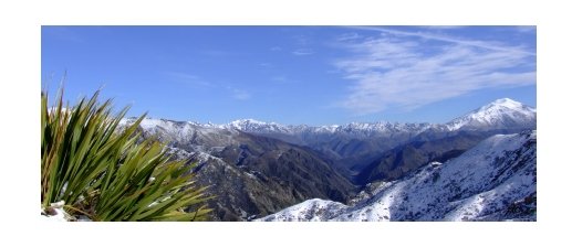 Clarence Reserve, Kaikoura